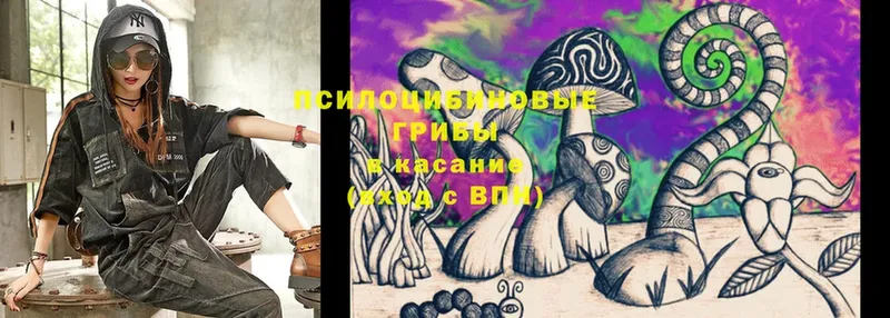 Псилоцибиновые грибы Cubensis  гидра сайт  Кудымкар 